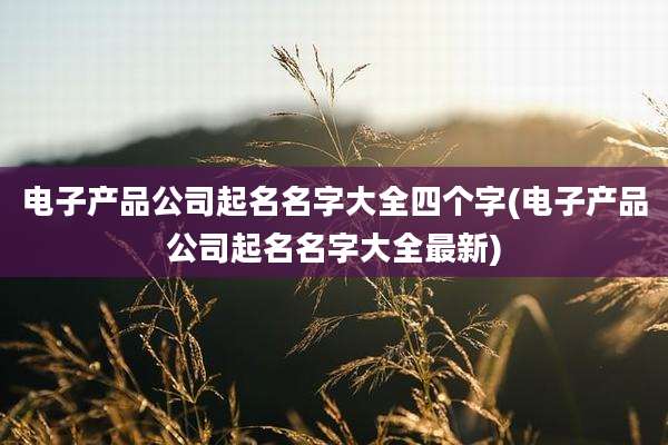 电子产品公司起名名字大全四个字(电子产品公司起名名字大全最新)