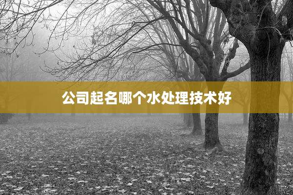 公司起名哪个水处理技术好