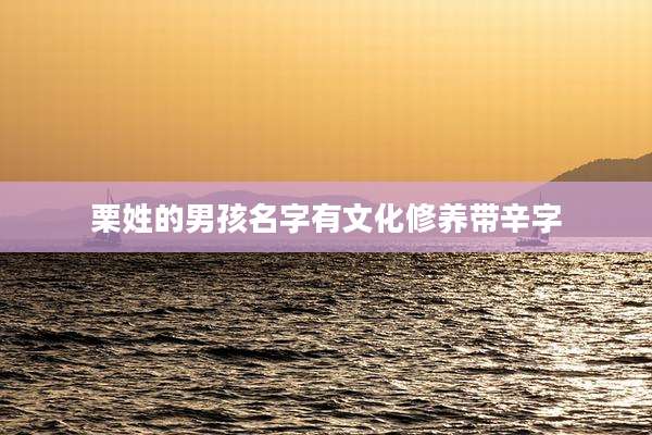 栗姓的男孩名字有文化修养带辛字