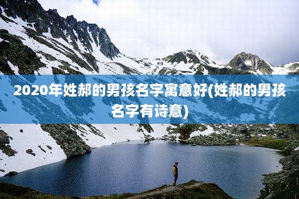 2020年姓郝的男孩名字寓意好(姓郝的男孩名字有诗意)