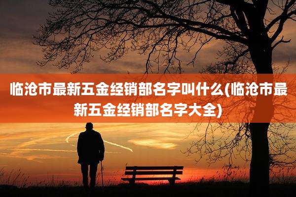 临沧市最新五金经销部名字叫什么(临沧市最新五金经销部名字大全)