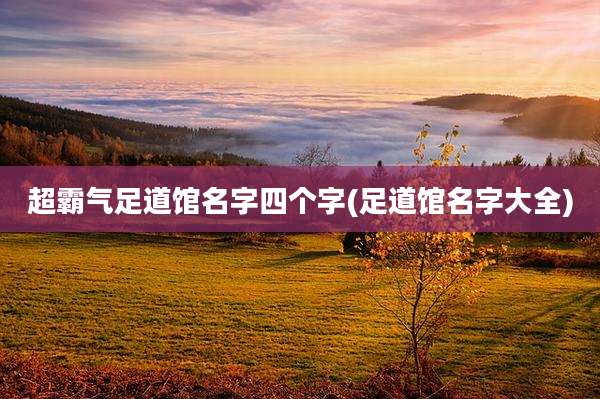 超霸气足道馆名字四个字(足道馆名字大全)