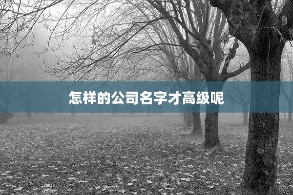 怎样的公司名字才高级呢
