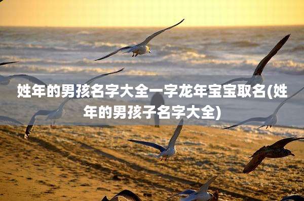 姓年的男孩名字大全一字龙年宝宝取名(姓年的男孩子名字大全)
