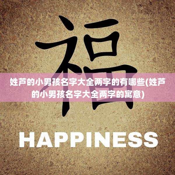姓芦的小男孩名字大全两字的有哪些(姓芦的小男孩名字大全两字的寓意)