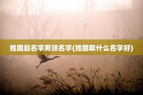 姓国起名字男孩名字(姓国取什么名字好)