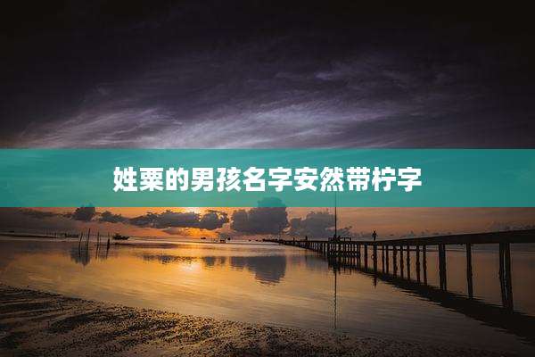 姓粟的男孩名字安然带柠字