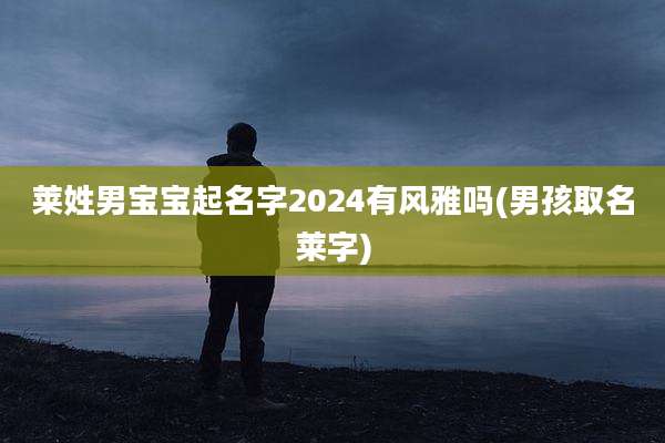 莱姓男宝宝起名字2024有风雅吗(男孩取名莱字)