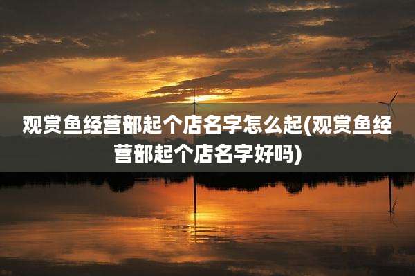 观赏鱼经营部起个店名字怎么起(观赏鱼经营部起个店名字好吗)