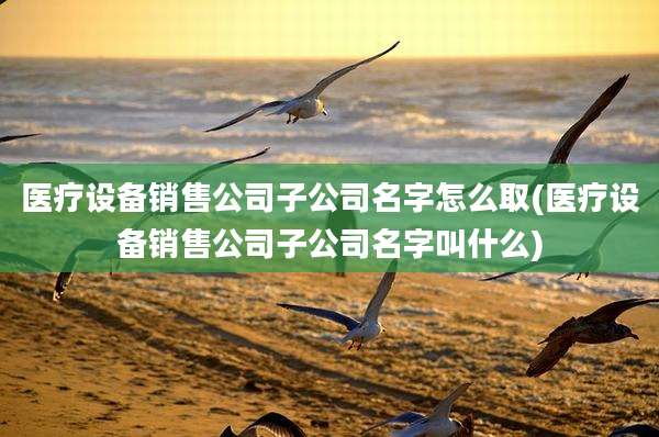 医疗设备销售公司子公司名字怎么取(医疗设备销售公司子公司名字叫什么)