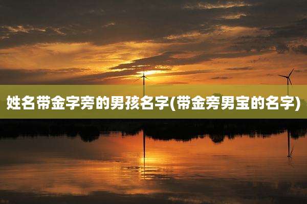 姓名带金字旁的男孩名字(带金旁男宝的名字)