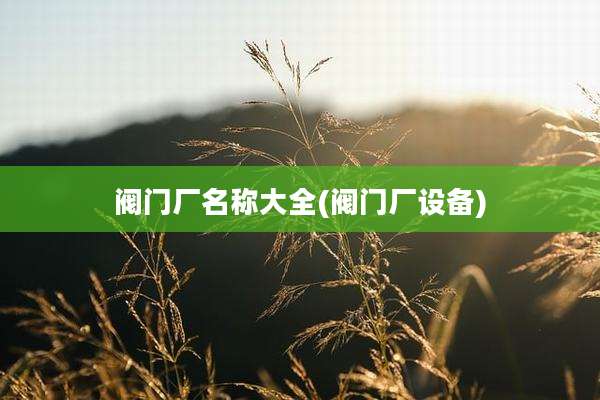 阀门厂名称大全(阀门厂设备)