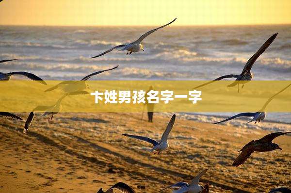 卞姓男孩名字一字