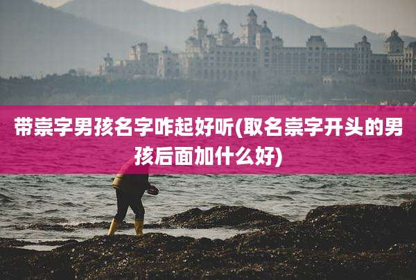 带崇字男孩名字咋起好听(取名崇字开头的男孩后面加什么好)