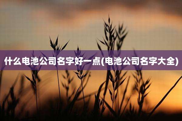 什么电池公司名字好一点(电池公司名字大全)
