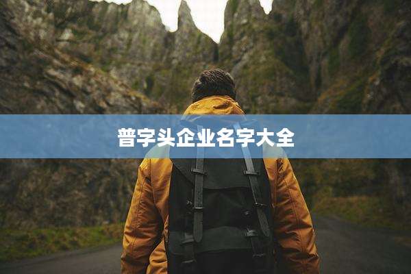 普字头企业名字大全