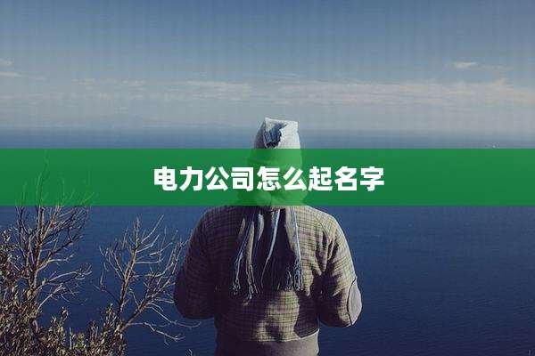 电力公司怎么起名字