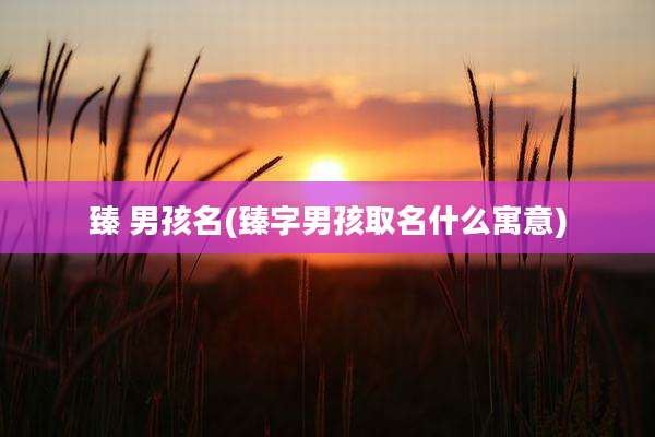 臻 男孩名(臻字男孩取名什么寓意)
