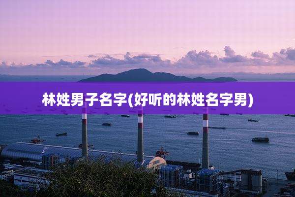 林姓男子名字(好听的林姓名字男)