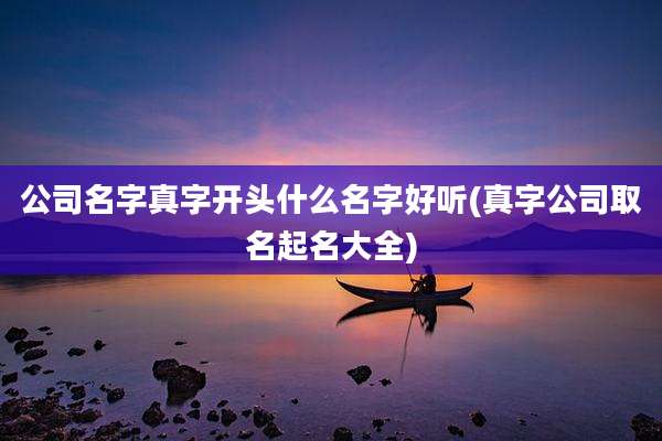 公司名字真字开头什么名字好听(真字公司取名起名大全)