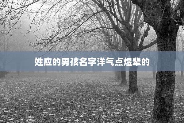 姓应的男孩名字洋气点煜辈的