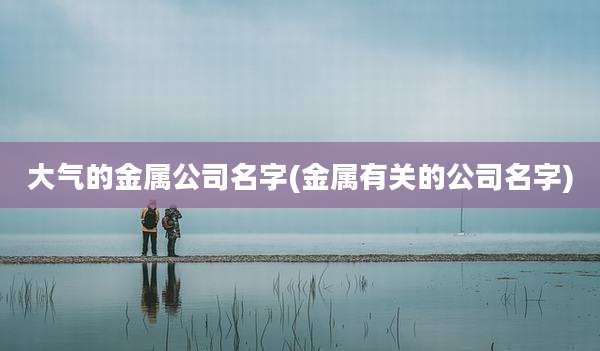 大气的金属公司名字(金属有关的公司名字)