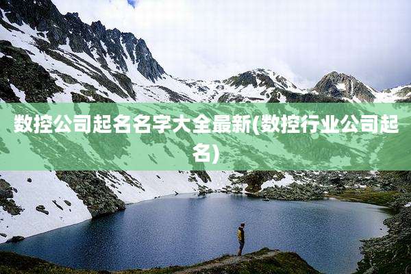 数控公司起名名字大全最新(数控行业公司起名)