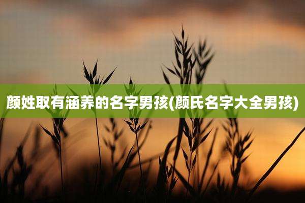 颜姓取有涵养的名字男孩(颜氏名字大全男孩)