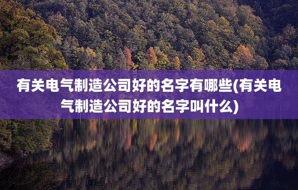 有关电气制造公司好的名字有哪些(有关电气制造公司好的名字叫什么)