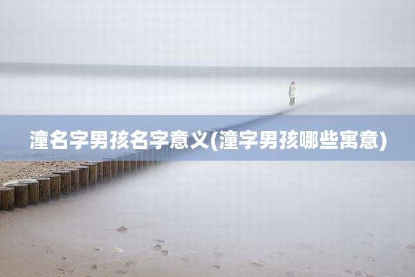 潼名字男孩名字意义(潼字男孩哪些寓意)