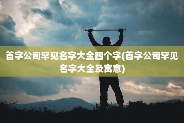 首字公司罕见名字大全四个字(首字公司罕见名字大全及寓意)