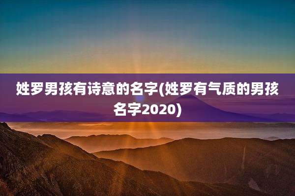 姓罗男孩有诗意的名字(姓罗有气质的男孩名字2020)
