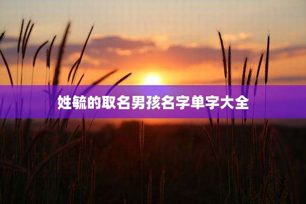 姓毓的取名男孩名字单字大全
