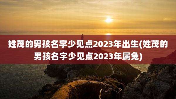 姓茂的男孩名字少见点2023年出生(姓茂的男孩名字少见点2023年属兔)