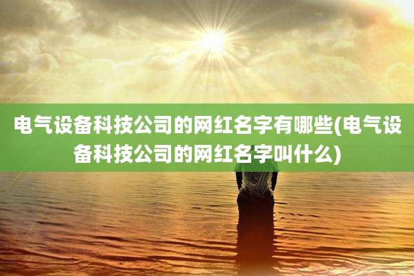 电气设备科技公司的网红名字有哪些(电气设备科技公司的网红名字叫什么)