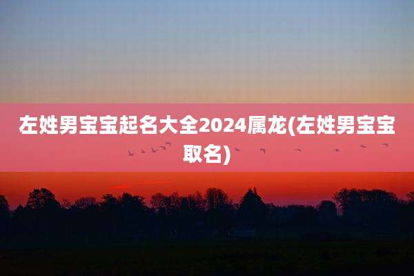 左姓男宝宝起名大全2024属龙(左姓男宝宝取名)