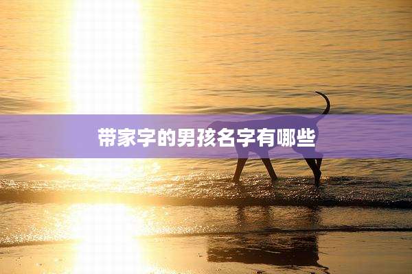 带家字的男孩名字有哪些