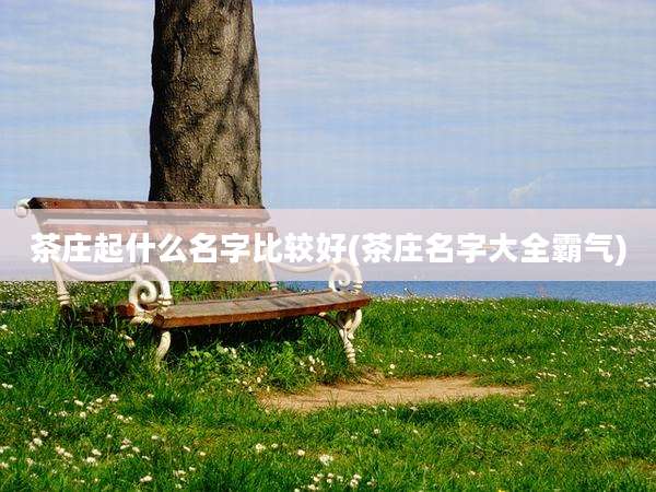 茶庄起什么名字比较好(茶庄名字大全霸气)