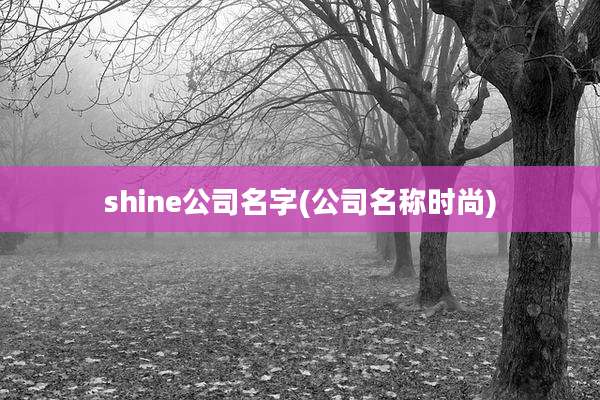 shine公司名字(公司名称时尚)