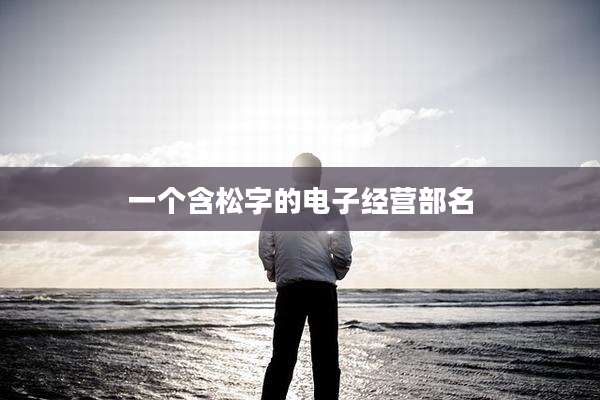 一个含松字的电子经营部名