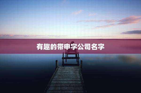 有趣的带申字公司名字