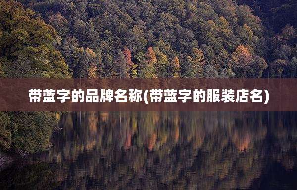 带蓝字的品牌名称(带蓝字的服装店名)