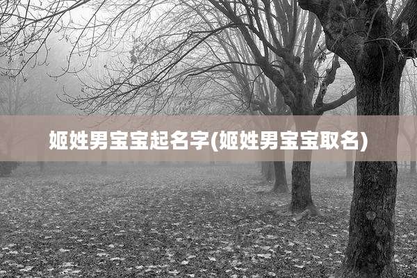 姬姓男宝宝起名字(姬姓男宝宝取名)