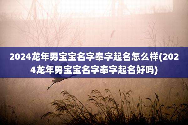 2024龙年男宝宝名字奉字起名怎么样(2024龙年男宝宝名字奉字起名好吗)