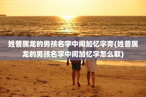 姓普属龙的男孩名字中间加忆字旁(姓普属龙的男孩名字中间加忆字怎么取)
