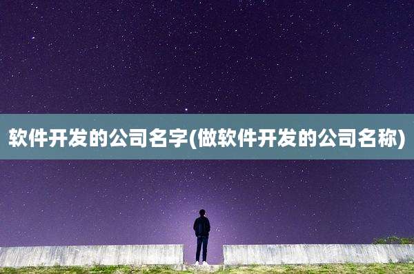 软件开发的公司名字(做软件开发的公司名称)