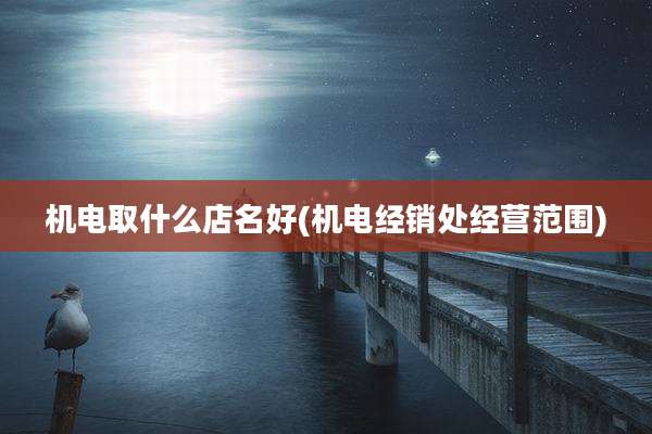 机电取什么店名好(机电经销处经营范围)