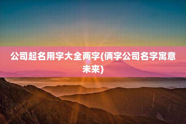 公司起名用字大全两字(俩字公司名字寓意未来)