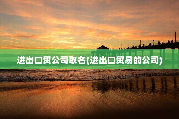 进出口贸公司取名(进出口贸易的公司)