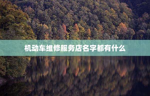 机动车维修服务店名字都有什么